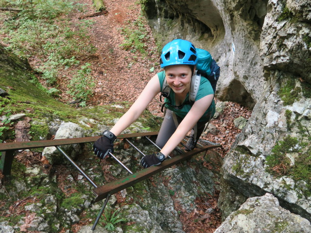 Waldegger Steig: Sabine auf der siebten Leiter