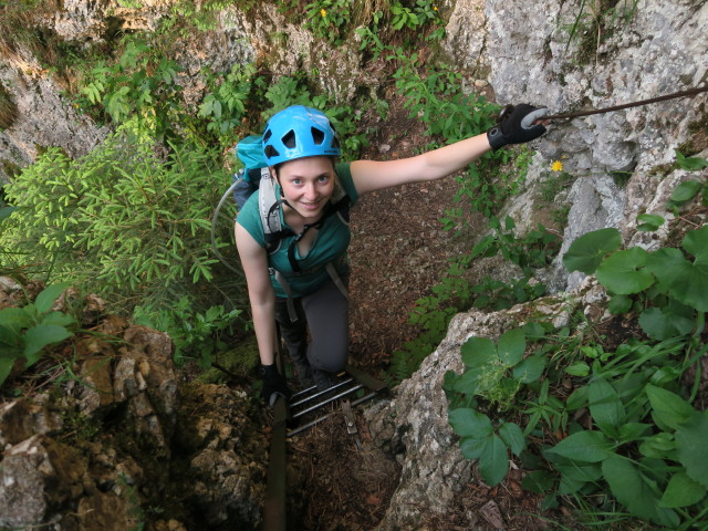 Waldegger Steig: Sabine auf der f&uuml;nften Leiter