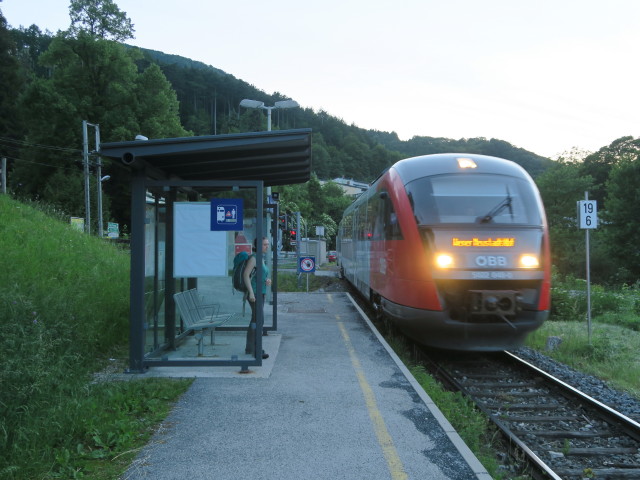 Sabine im Bahnhof Waldegg-D&uuml;rnbach, 372 m