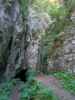 Waldegger Steig: Waldegger Tropfsteinhöhle 