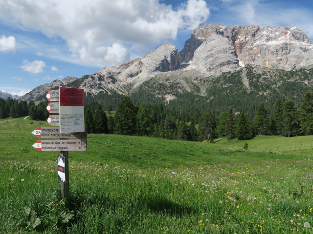 Plätzwiesensattel, 1.991 m (15. Juni)