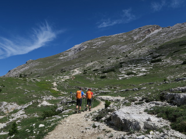 Weg 40 auf der Dürrensteinalpe (15. Juni)