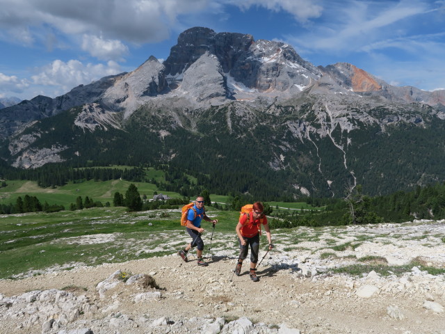 Weg 40 auf der Dürrensteinalpe (15. Juni)