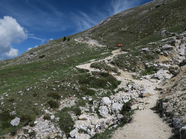 Weg 40 auf der Dürrensteinalpe (15. Juni)
