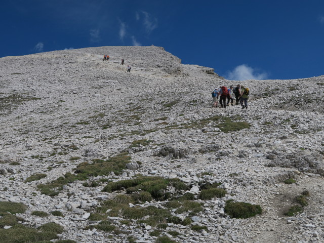 Weg 40 zwischen Dürrensteinalpe und Dürrenstein (15. Juni)