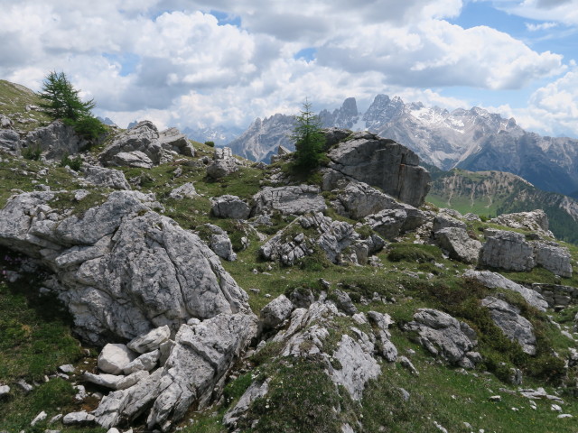 Frontsteig auf der Dürrensteinalpe (15. Juni)
