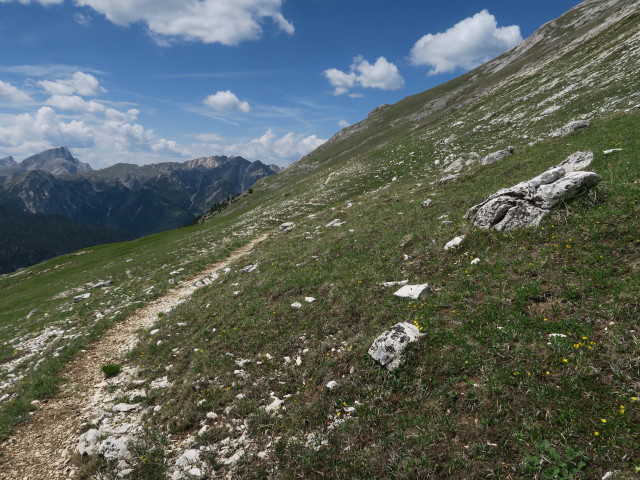 Frontsteig zwischen Dürrensteinalpe und Strudelkopfsattel (15. Juni)