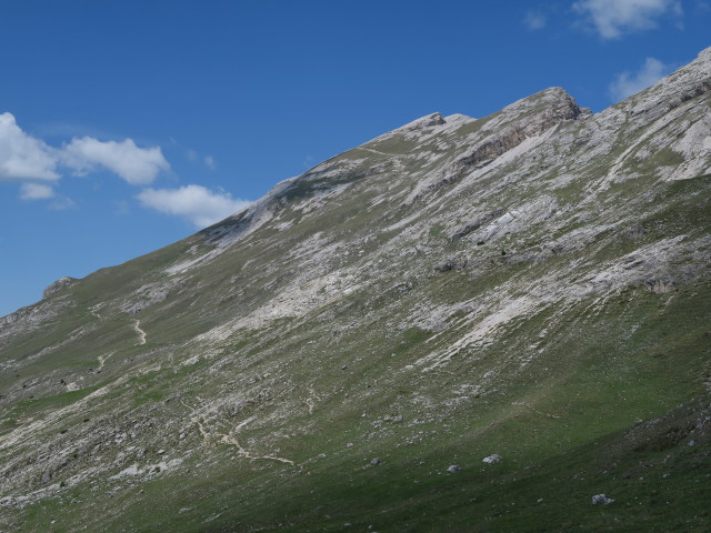 Dürrensteinalpe (15. Juni)