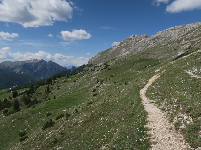 Frontsteig zwischen Dürrensteinalpe und Strudelkopfsattel (15. Juni)