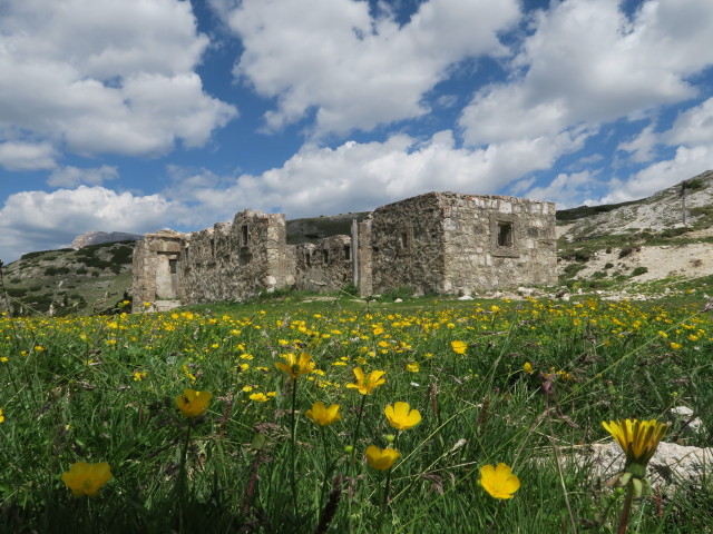 Strudelkopfsattel, 2.200 m (15. Juni)