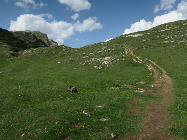 zwischen Strudelkopfsattel und Dürrensteinhütte (15. Juni)