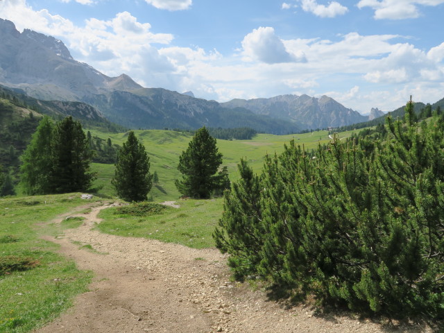 zwischen Strudelkopfsattel und Dürrensteinhütte (15. Juni)