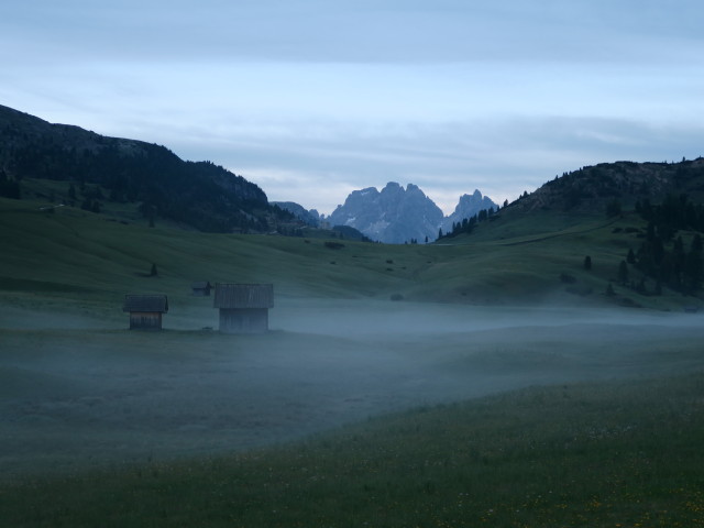 Kasselerwiesen (16. Juni)