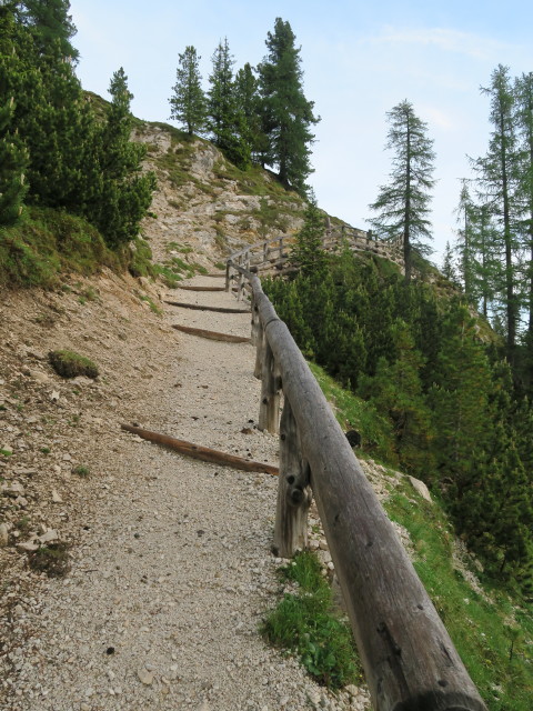 Weg 3 zwischen Stolla-Alm und Gumpalboden (16. Juni)