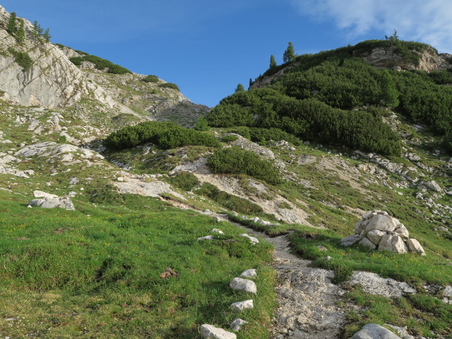 Weg 3 am Gumpalboden (16. Juni)