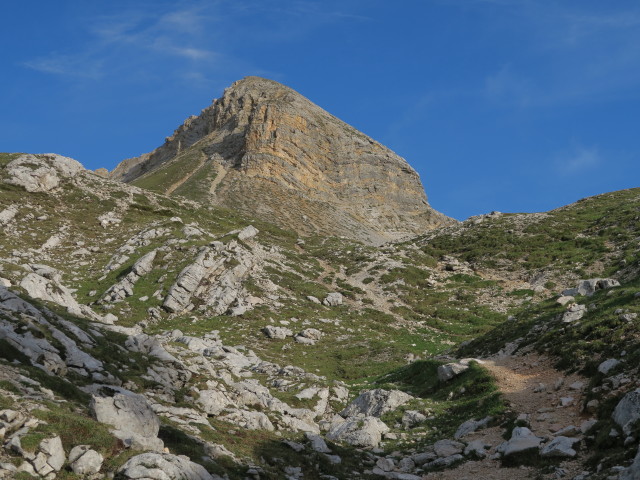 Weg 3 zwischen Gumpalboden und Gaiselleite (16. Juni)