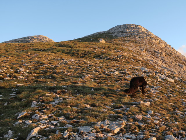 Weg 27 zwischen Val de San Berto und Muntejela de Senes (17. Juni)