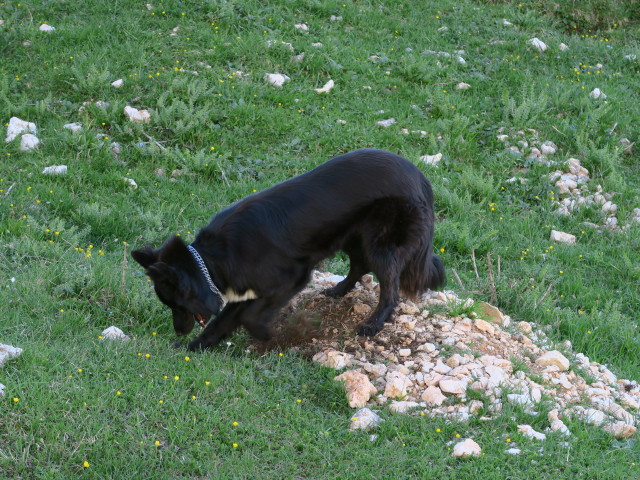 Val San Berto (17. Juni)