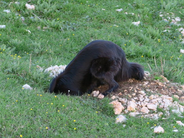 Val San Berto (17. Juni)