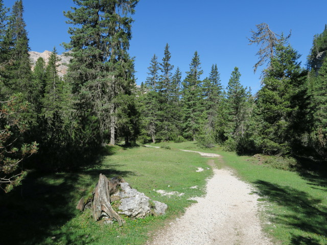 Weg 7A zwischen Ücia de Senes und Ücia Pederü (17. Juni)