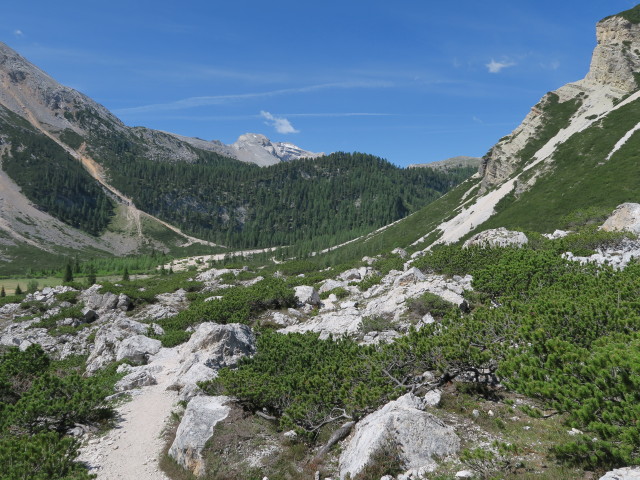 Weg 7 im Valun de Fanes (17. Juni)