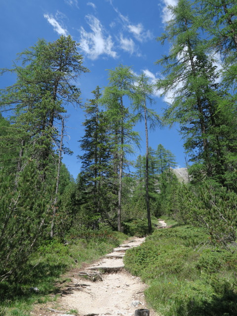 Weg 7 im Valun de Fanes (17. Juni)