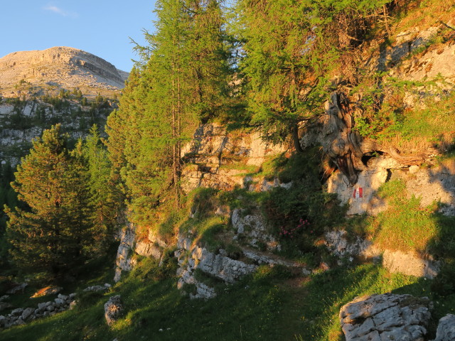 Weg 12 zwischen Ücia Lavarela und Ju dla Crucs (18. Juni)