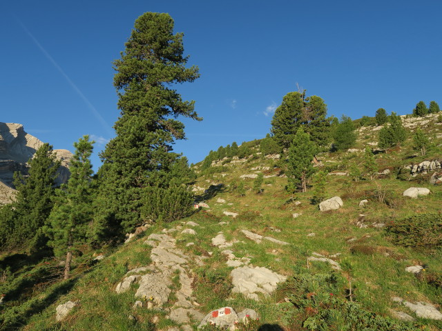 Weg 12 zwischen Ücia Lavarela und Ju dla Crucs (18. Juni)