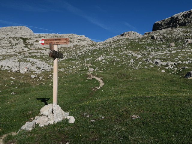 Kreuzung Weg 7 und Weg 12 (18. Juni)