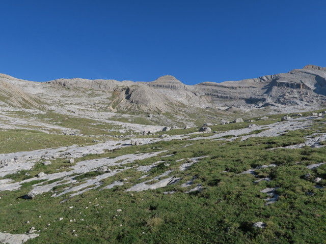 neben Weg 7 zwischen Ücia Lavarela und Ju dla Crucs (18. Juni)