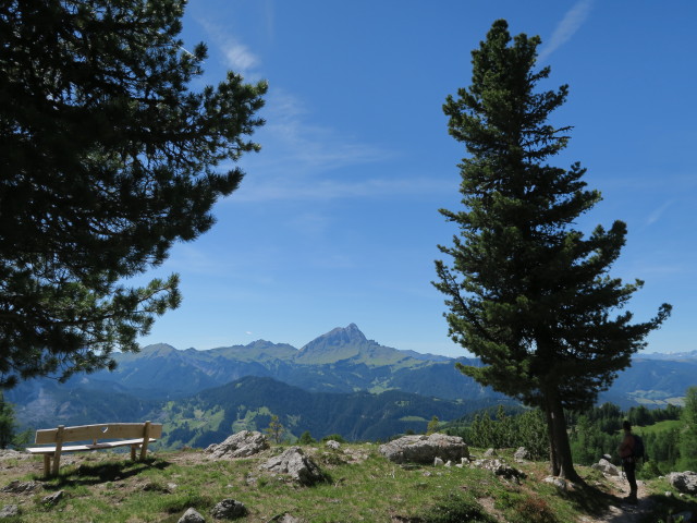 neben Weg 7 zwischen Kreuzkofel-Klettersteig und La Crusc (18. Juni)