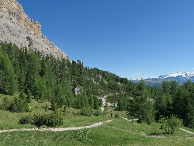 Weg 13 bei La Crusc (18. Juni)