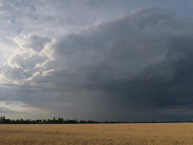 von S&uuml;&szlig;enbrunn Richtung Norden (30. Juni)