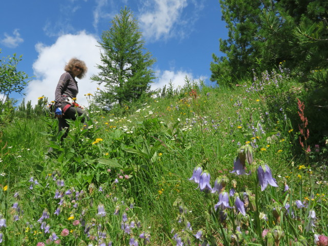Kölnbrein-Klettersteig: Irmgard beim Ausstieg