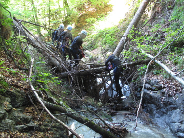 Josef, Sonja, Cornelia und Angelika