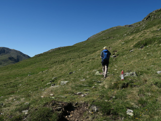 Werner am Weg 88 zwischen Hirschbichl und Deferegger Pfannhorn-Nordostgrat