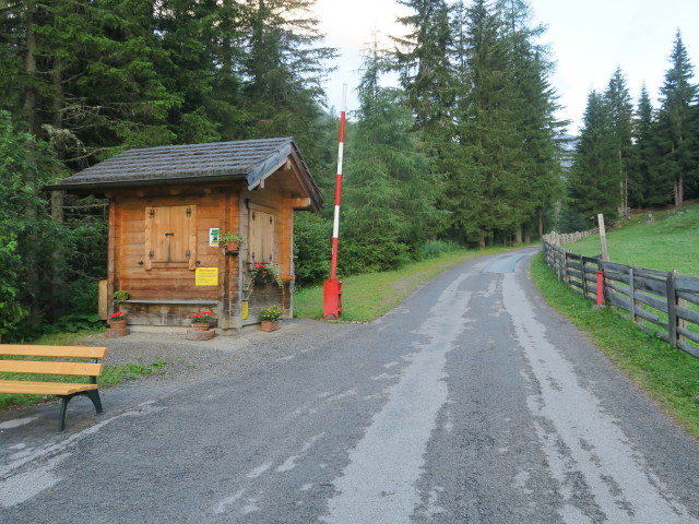 zwischen Erlsbach und Patscher H&uuml;tte (8. Juli)