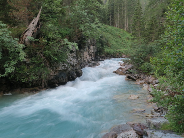 Schwarzach zwischen Erlsbach und Patscher H&uuml;tte (8. Juli)