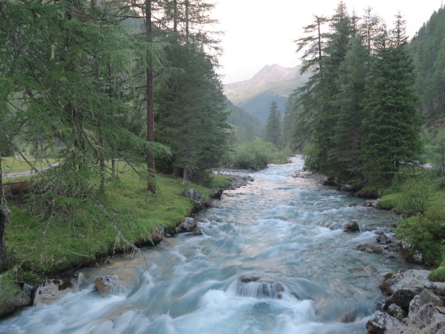 Schwarzach zwischen Erlsbach und Patscher H&uuml;tte (8. Juli)