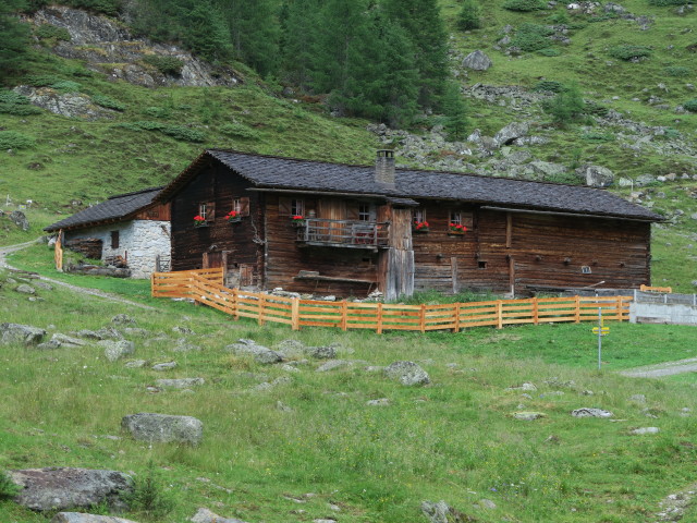 Patscher Alm (8. Juli)