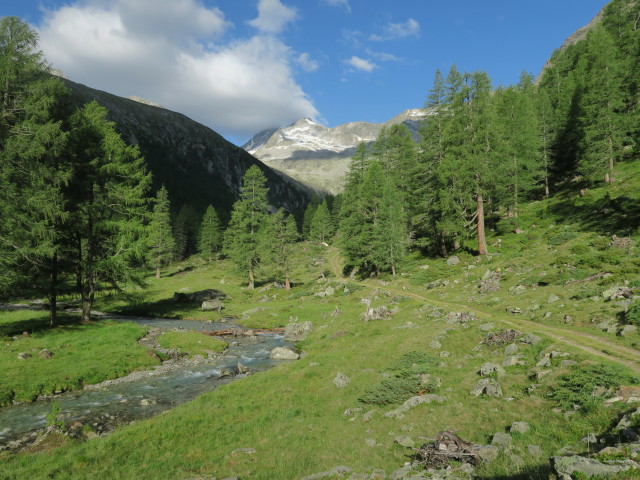 Patscher Tal (8. Juli)