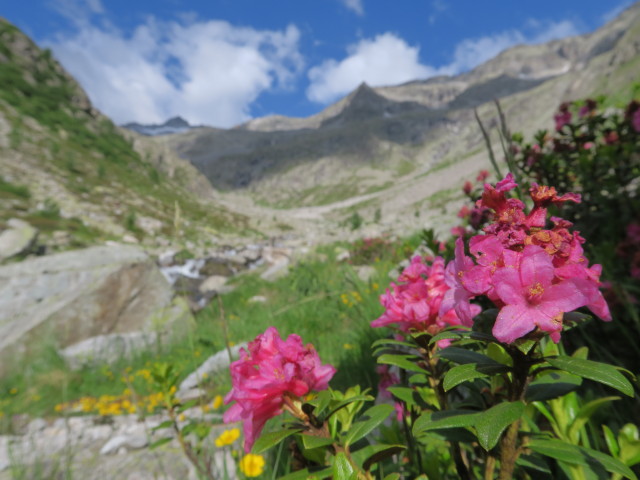 Patscher Tal (8. Juli)