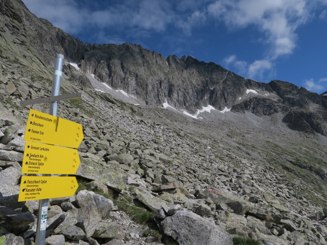 Weg 114 zwischen Alter Barmer H&uuml;tte und Rosshornscharte (8. Juli)