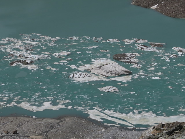 Fleischbachkees (8. Juli)