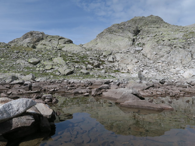 neben Weg 114 zwischen J&auml;gerscharte und Almersattel (9. Juli)