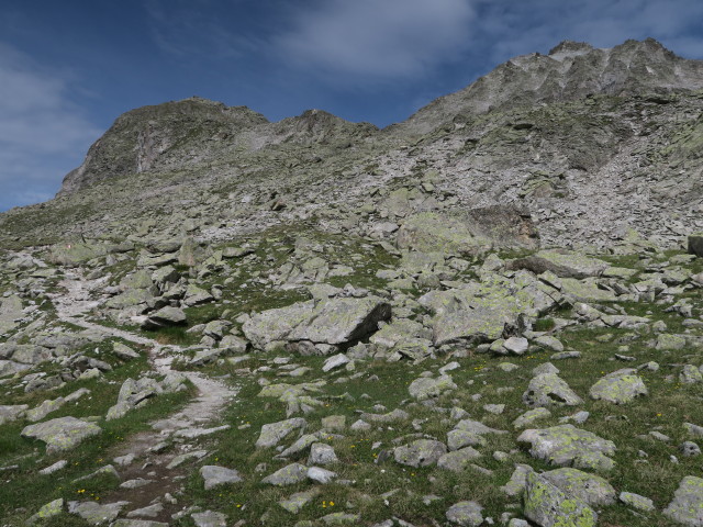 Weg 114 zwischen J&auml;gerscharte und Almersattel (9. Juli)