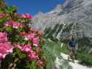 Ronald am Weg 103 zwischen Zsigmondy-Hütte und Altensteiner Tal (16. Juli)