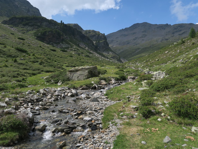 Flaggerbach zwischen Schafalm und Flaggerscharte (22. Juli)