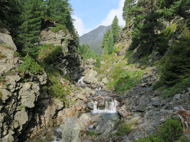 Flaggerbach zwischen Schafalm und Möslboden (23. Juli)