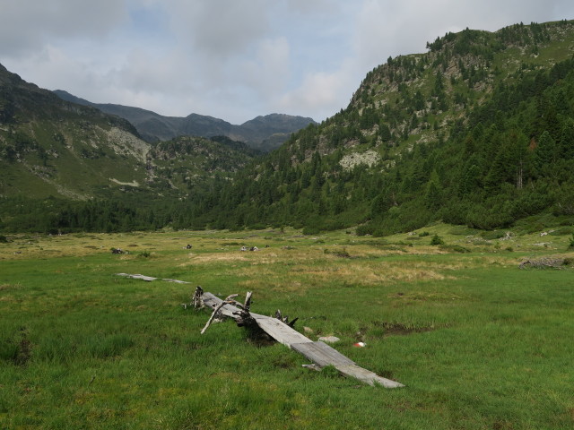 Weg 16 am Möslboden (23. Juli)